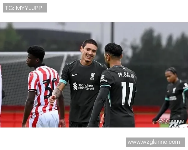 努涅斯在赛场上的精彩表现引发热议球迷对其未来发展充满期待 努涅斯在赛场上的精彩表现引发热议球迷对其未来发展充满期待