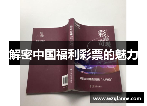 解密中国福利彩票的魅力
