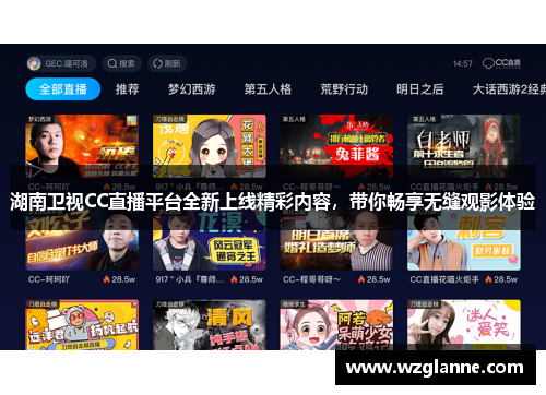 湖南卫视CC直播平台全新上线精彩内容，带你畅享无缝观影体验