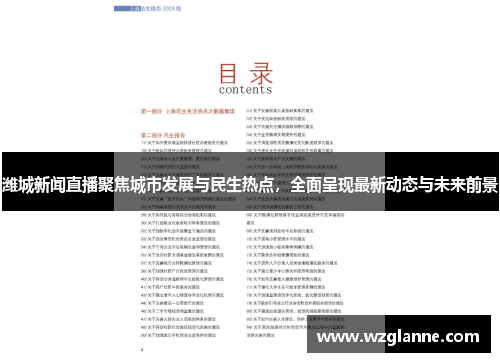 潍城新闻直播聚焦城市发展与民生热点，全面呈现最新动态与未来前景