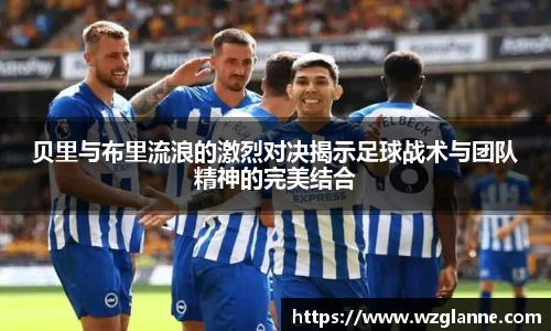 im电竞官网入口