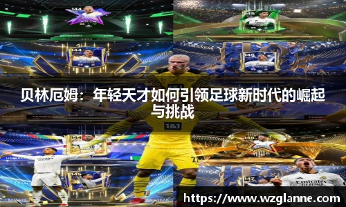 im电竞手机网页版登录