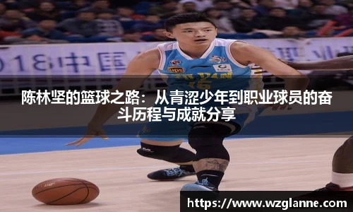 im电竞手机网页版登录