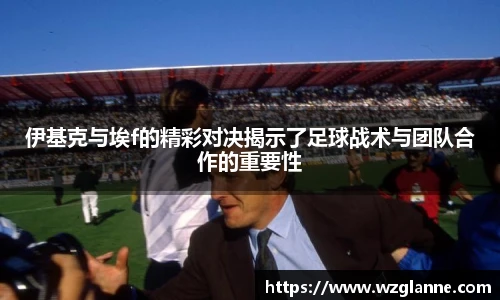 im电竞官网版