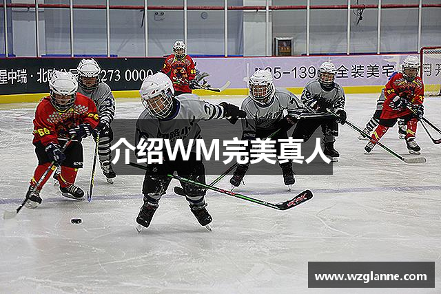 介绍WM完美真人
